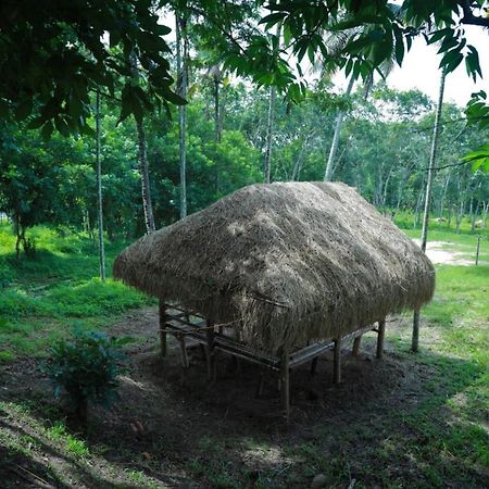 Royal Wooden Villa Mananthavady Exterior foto