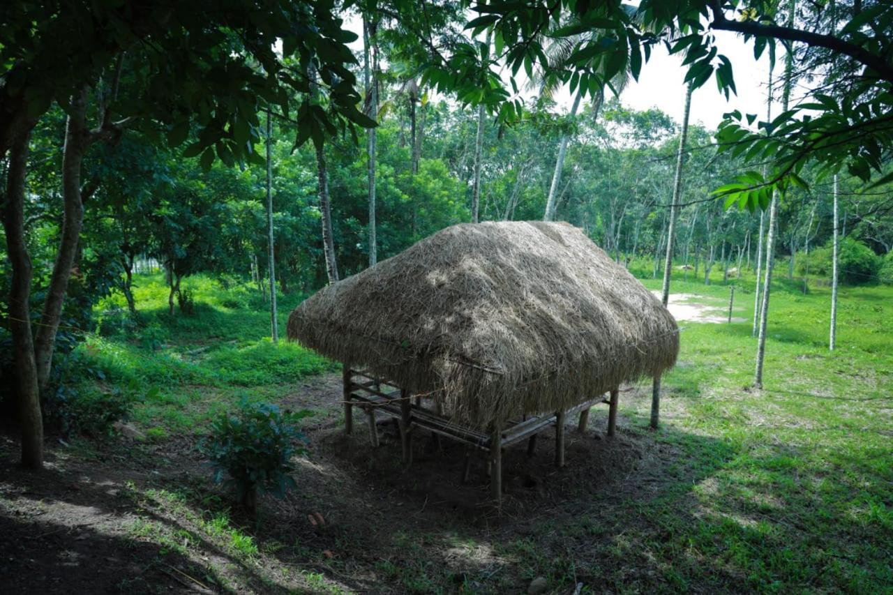 Royal Wooden Villa Mananthavady Exterior foto
